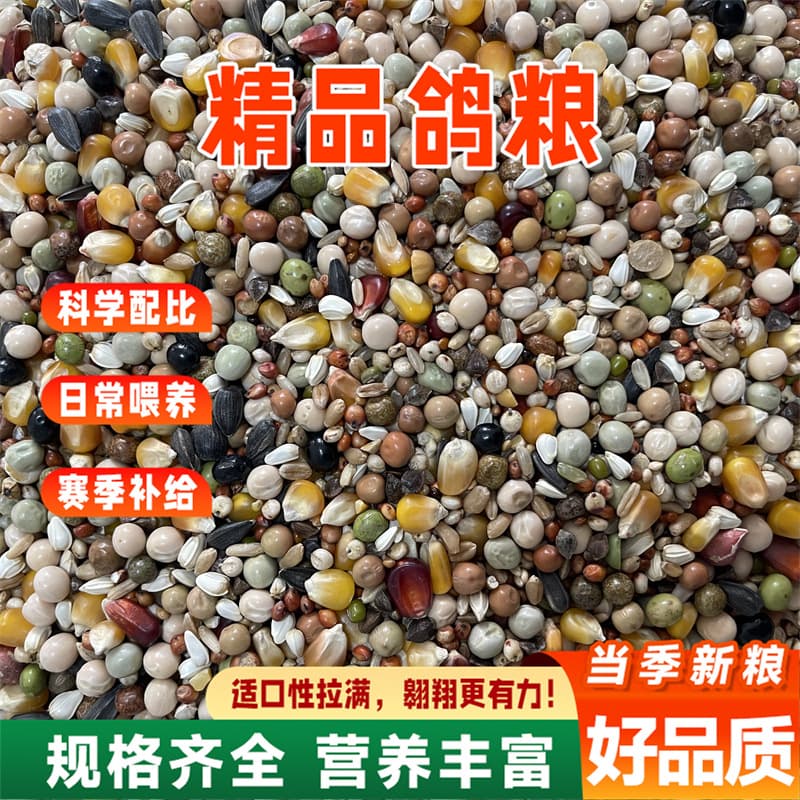 Young Pigeon Growth A-Grade Pigeon Feed for Young Pigeons, Racing Pigeons, Homing Pigeons, Various Types of Pigeon Feed, Professional Balanced Formula, Wholesale from Manufacturer