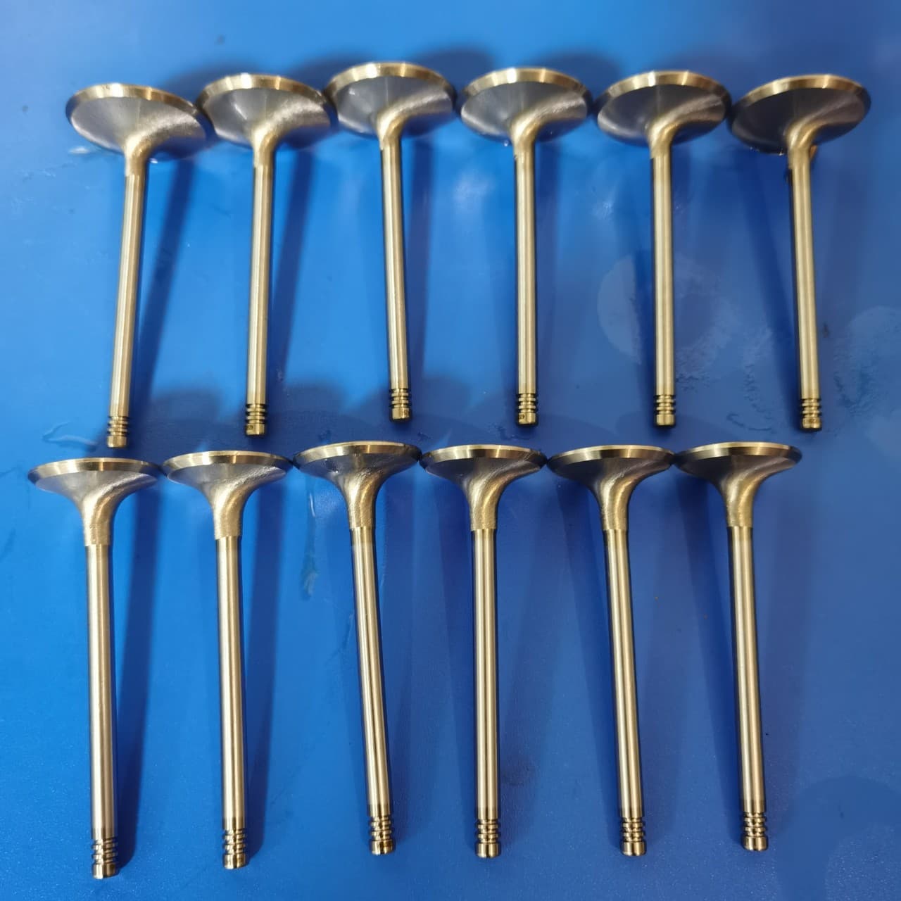 Suitable for Bombardier Watercraft Reinforced Intake and Exhaust Valves Special 1503 1603 420254294