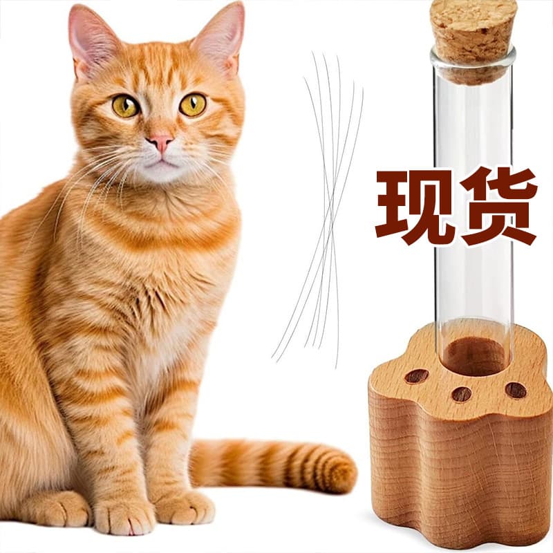 Wooden Pet Fur Memorial Box with Test Tube Base, Cat Whisker Collection Display for Dogs and Cats