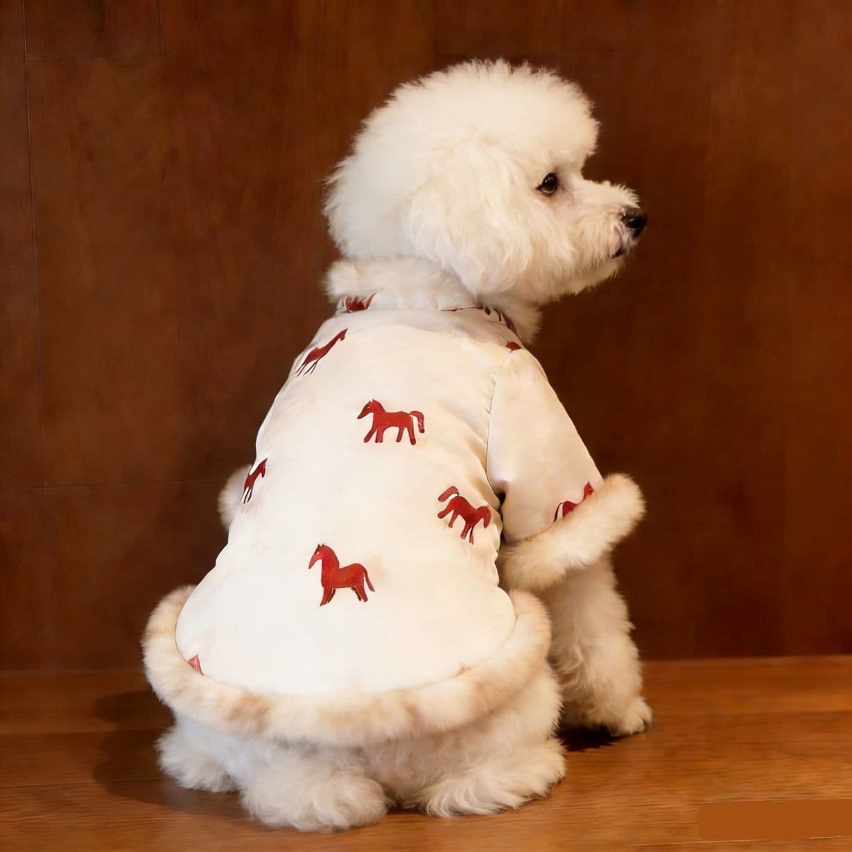 Dog New Year Clothes, New Chinese-Style Tang Suit, Festive Outfit for Dogs and Cats, Warm and Stylish, Thick Coat