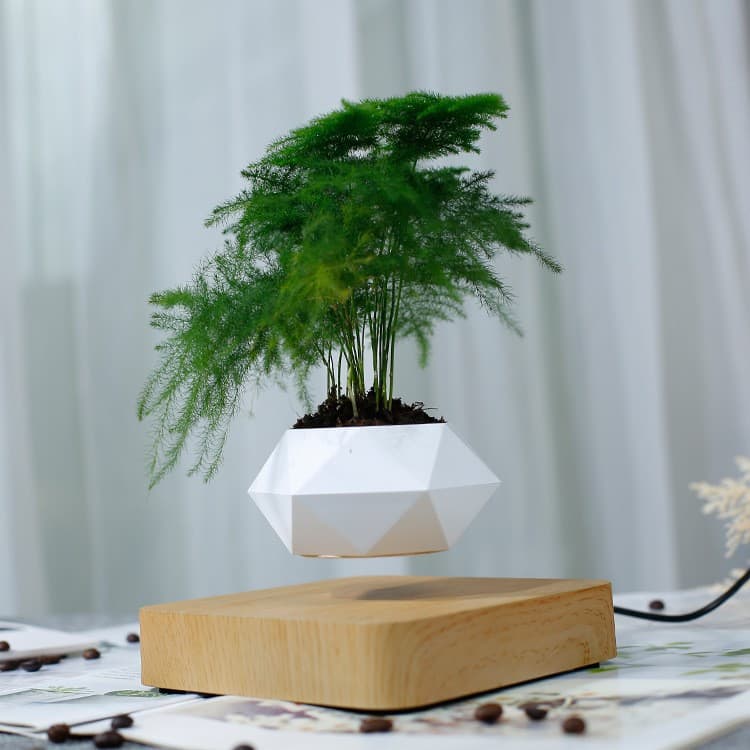 Cross-border new magnetic levitation potted plants, air potted plants, suspended flower pots, creative ornaments for living room and office