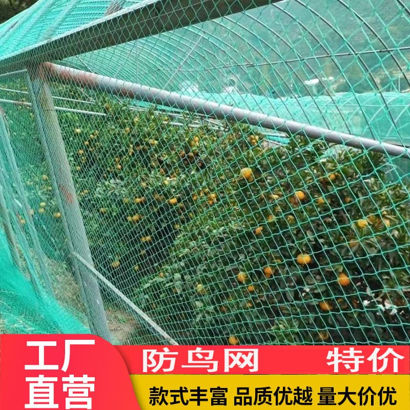 Polyethylene Fishing Net, Aquaculture Net, Chicken Net, Fishing Net, Fence Net, Guardrail Net, Nylon Net, Bird Net, Sky Net, Climbing Net