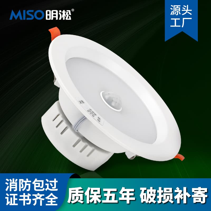 Cross-border dropshipping of emergency downlights, human body induction LED emergency lights, rechargeable with battery, smart induction downlights.