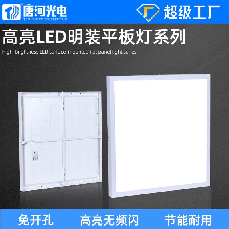 Engineering Surface-Mounted Panel Light 600600 No Hole Required 300600 Kitchen Ceiling Light 6001200 Surface-Mounted Flat Panel Light