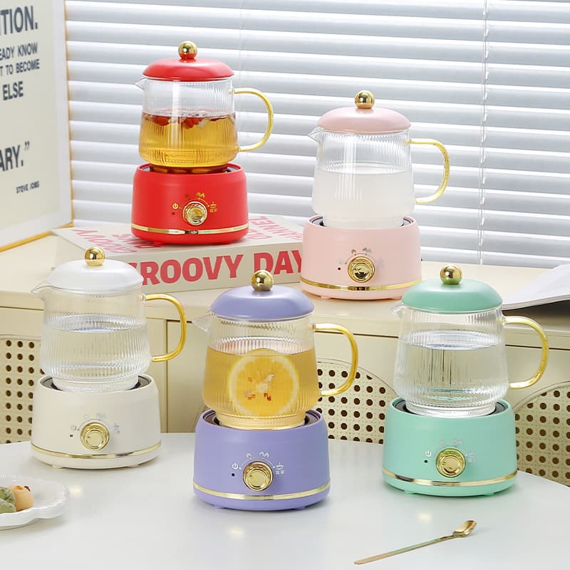 Multi-functional Health Kettle, Office Small Tea Brewer, Herbal Tea Electric Steaming Cup, Practical Souvenir Gift