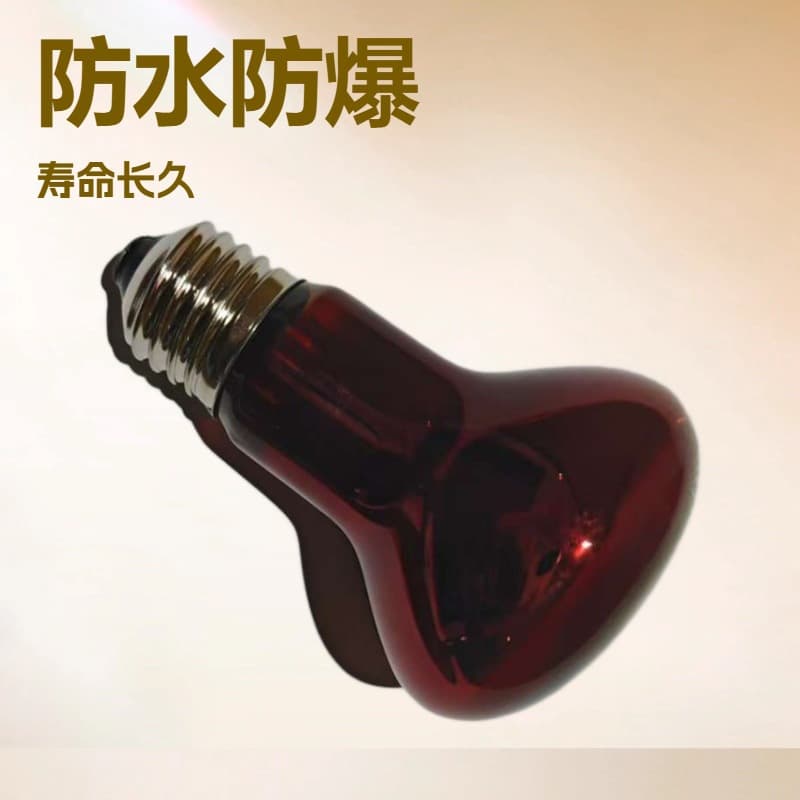 Wholesale Infrared Therapy Bulb 100W High-Power Baking Heating Warming Therapy Beauty Skincare