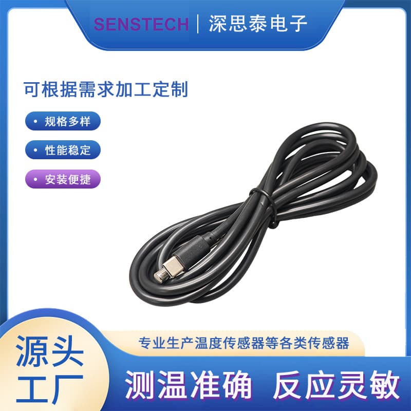 Shensi Tai DS18B20 Stainless Steel 304 Tube Groove Injection Molding USB-C Connector
