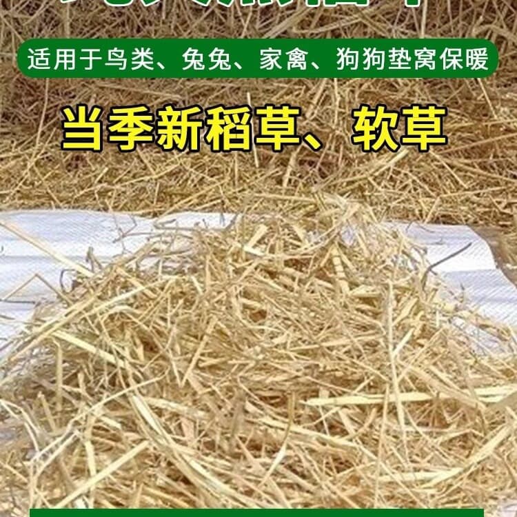 Straw, hay bedding, rabbit wintering grass, dog bed, chicken bedding, pet bedding, natural dry straw, straw, straw, straw for warmth