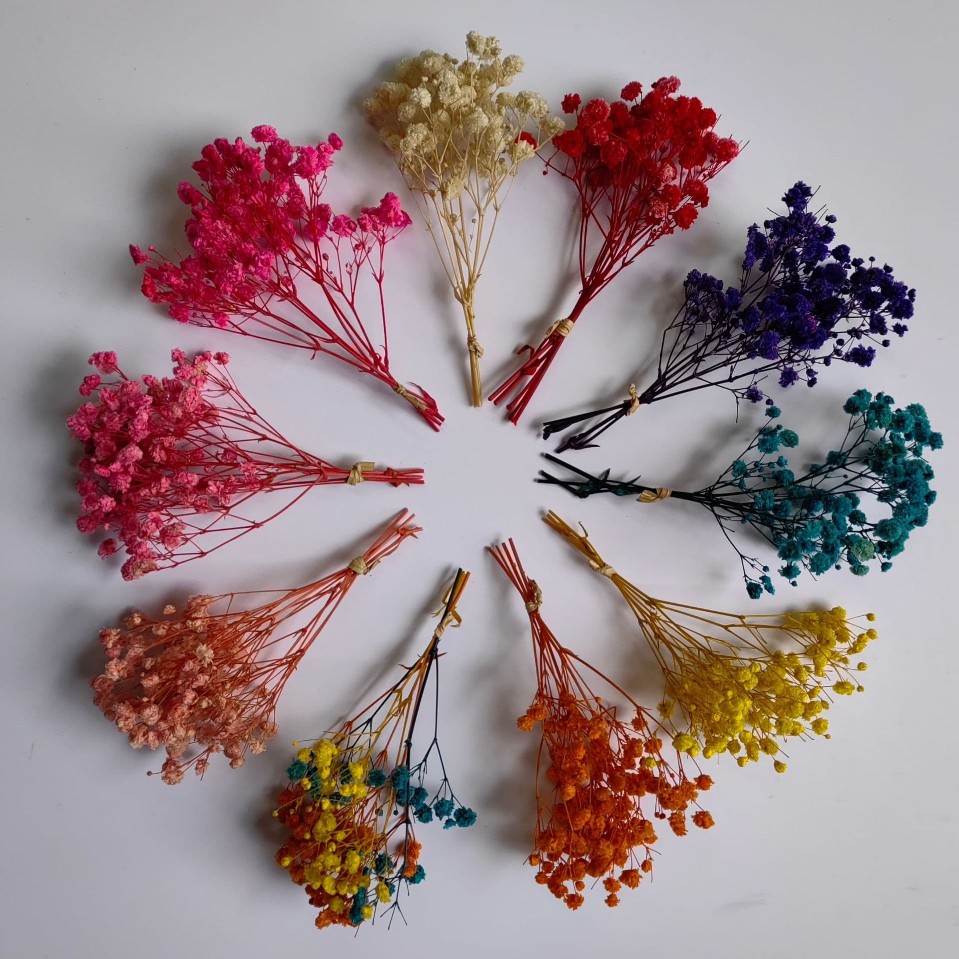 Gypsophila everlasting flowers, dried flowers, kindergarten arrangement handbook, aroma diffuser cup, Christmas handmade materials, mini bouquet