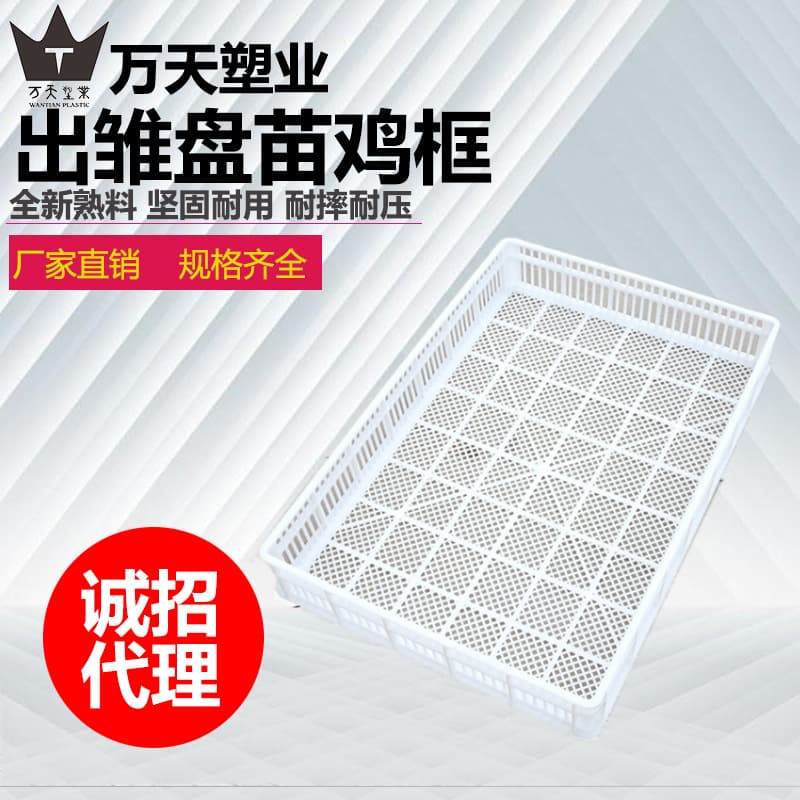 TB05 Plastic Chicken Cage for Raising Chicks, Poultry Farming Equipment TB05
