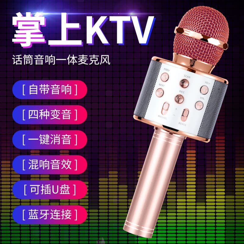 WS858 Wireless Bluetooth Microphone Karaoke Toy with Built-in Speaker, Children's Singing Entertainment Gift, Heart Pattern, Home Use