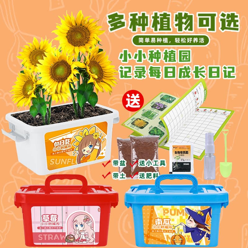 Children's Planting Potted Plant, Elementary School Student Plant Growth Observation, Creative DIY Planting Kit, Arbor Day Office