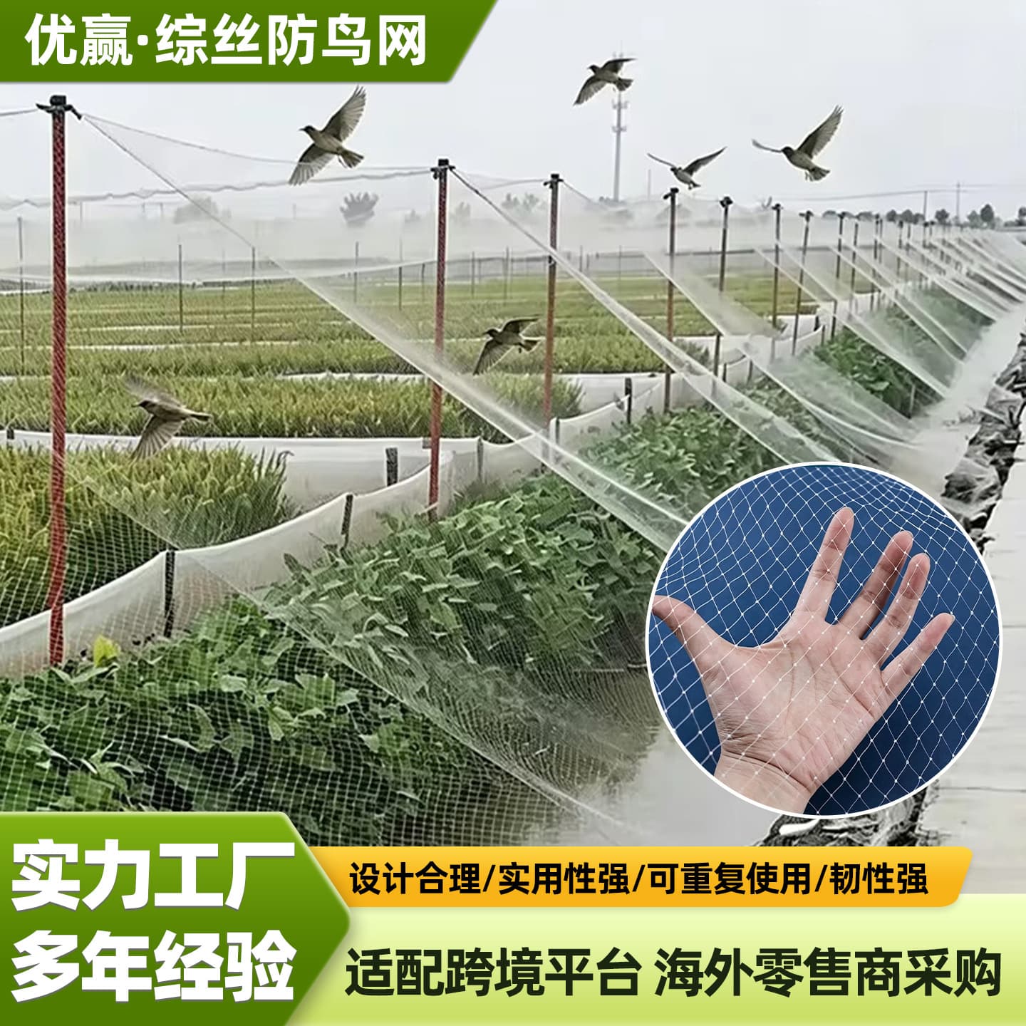 Cross-border Comprehensive Anti-Bird Netting, Greenhouse Insect Net, Agricultural Vegetable and Fruit Tree Anti-Bird Net, Breeding Fence Net, Dense Insect Net