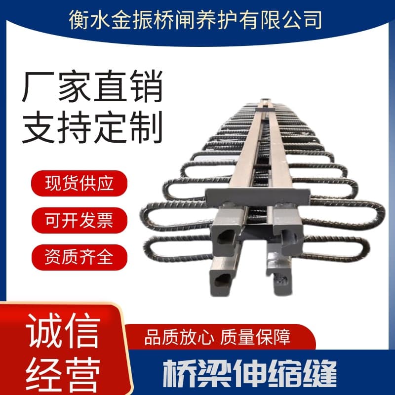 Highway Bridge Expansion Joint GQF-C40F60D80160240 Type ERG Special-Shaped Steel Maurer Expansion Joint Modular Device