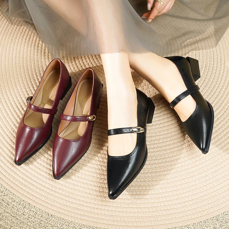 Pointed Retro High Heels 2025 Spring New Arrival Comfortable Professional High Heels for Women Flight Attendant Elegant Women's Shoes