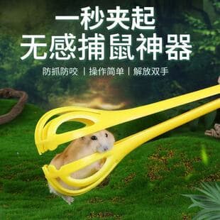 Mouse Trap Hamster Trap Grabber for Hamsters Syrian Hamster Supplies Interactive Bite-Proof Hamster Toy Landscape