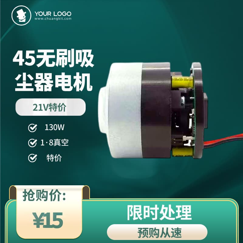 21V45 Brushless Vacuum Cleaner Motor Brushless Motor Vacuum Micro