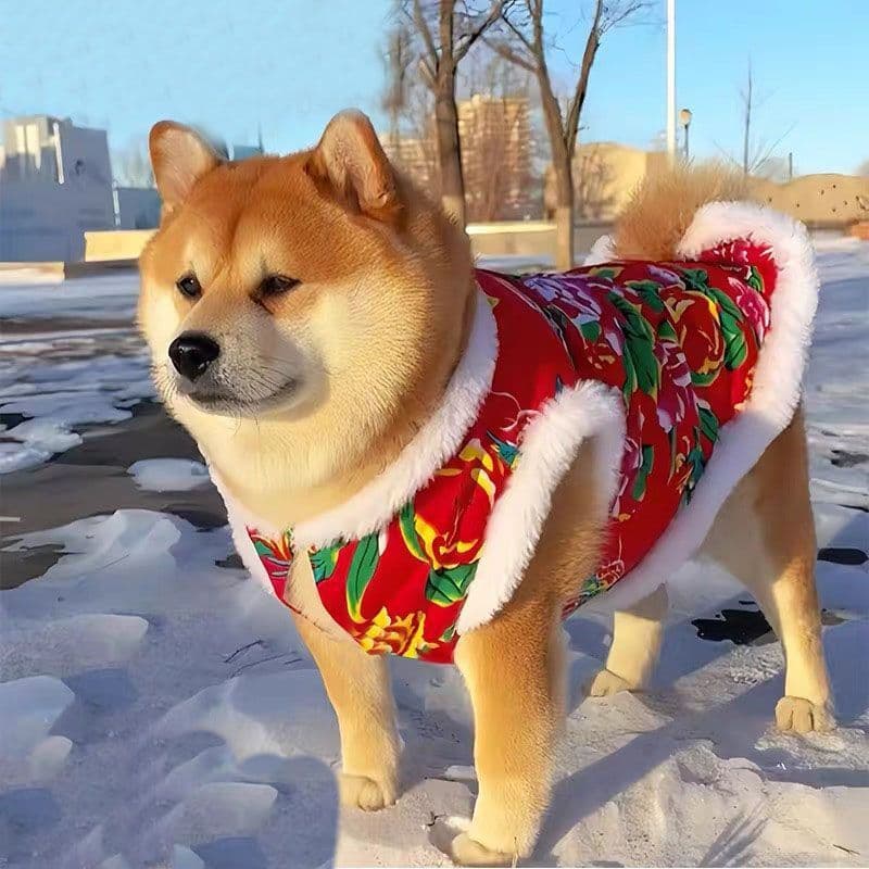 Small and Medium Corgi Fleece-Lined Warm Pet Clothes Winter Dog Coat Large Dog Cat New Year Northeast Style