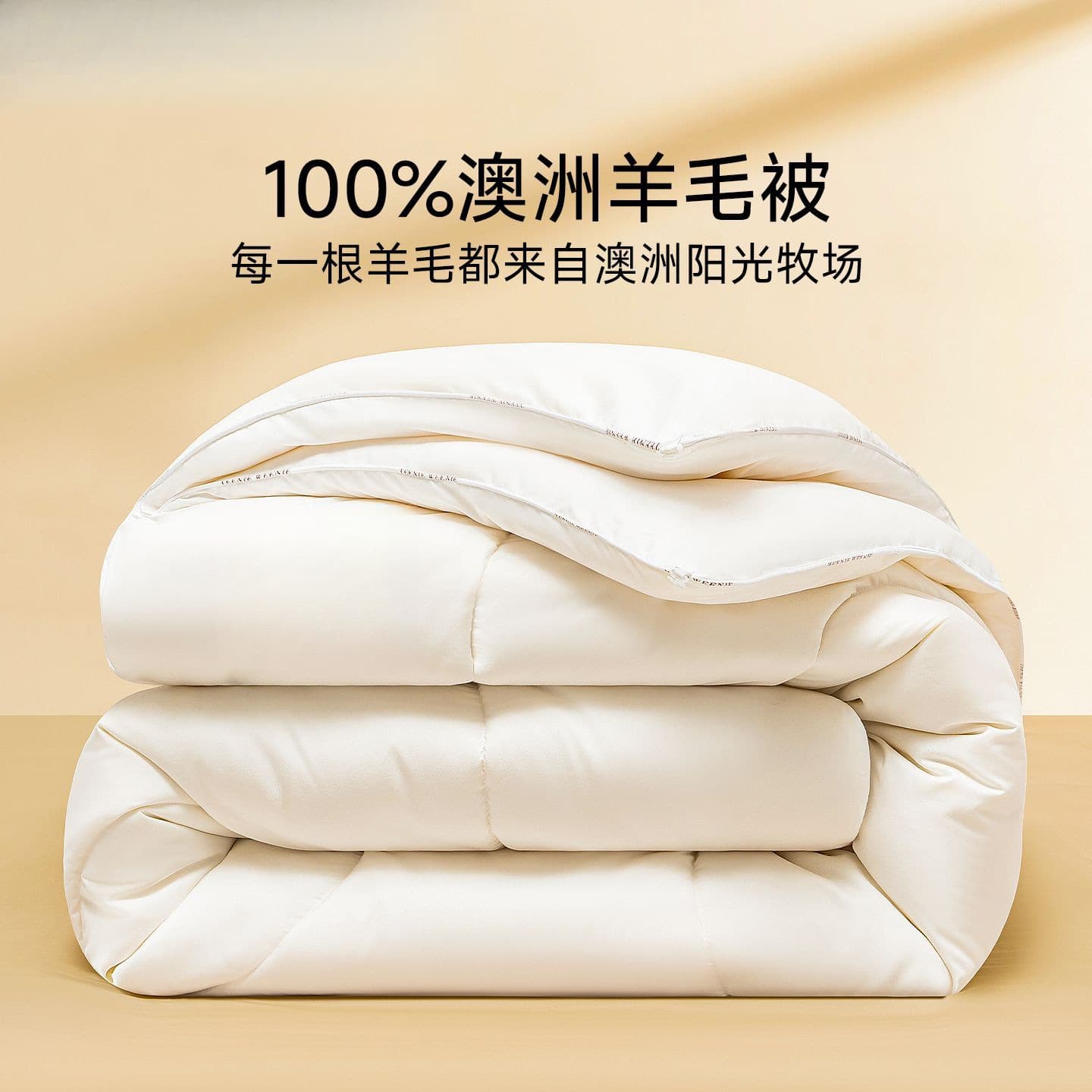 Imported Australian Wool Quilt 100% Pure Wool Winter Cashmere Quilt Warm Duvet Inner Cross-border AliExpress Free Shipping