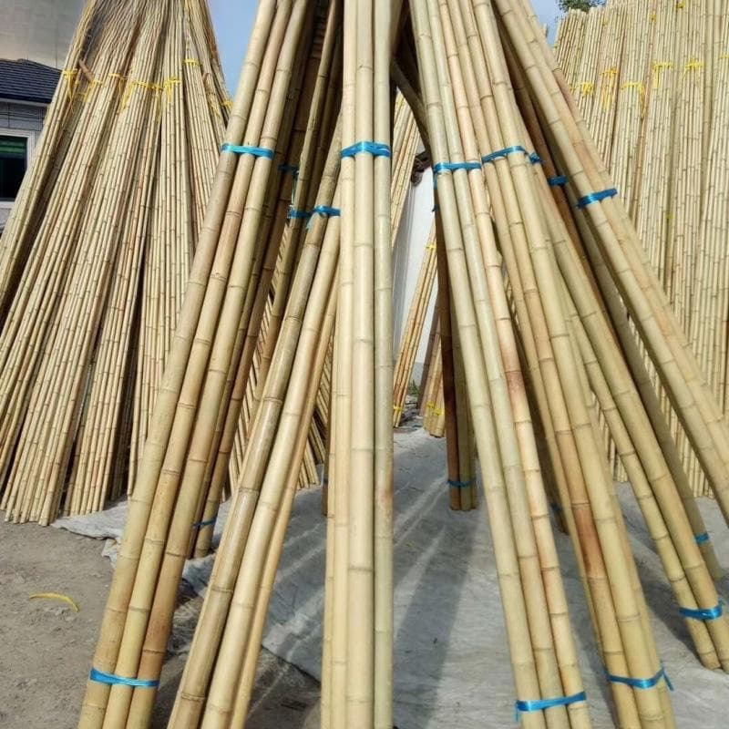 Antiseptic bamboo pole decoration white and yellow thick bamboo pole bean vegetable garden cucumber frame vegetable rack bamboo flagpole Nanzhu