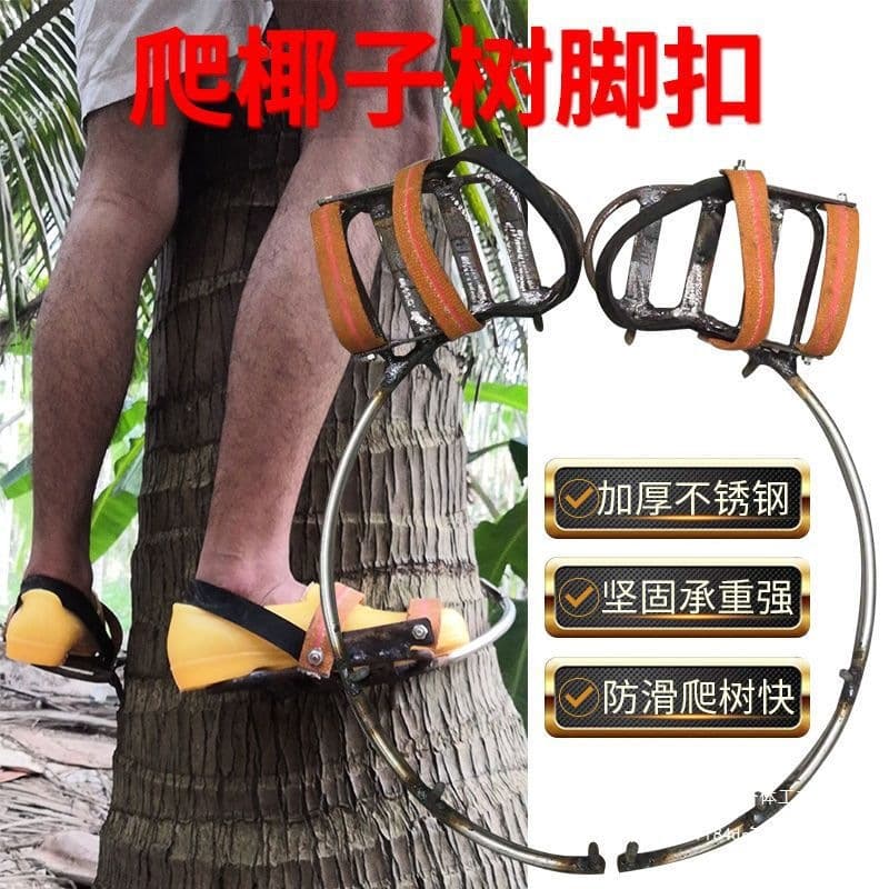 Thickened stainless steel coconut tree climbing buckle, professional coconut picking tool.