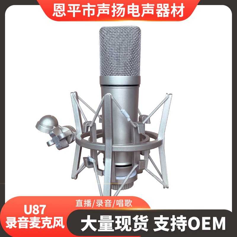 U87 Condenser Microphone Studio Equipment for Singing, Broadcasting, Voice-over, Large Diaphragm Microphone for Kuaishou Streamers