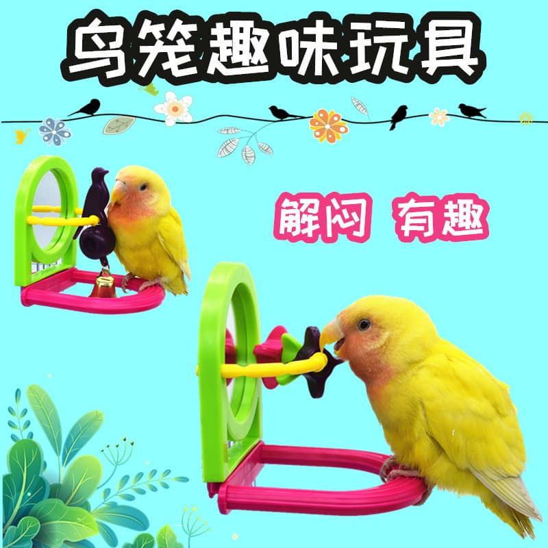 Parrot Mirror Toy for Entertainment and Self-Play, Parrot Perch Stand Bird Cage Standing Rod Chewing Toy for Small Birds