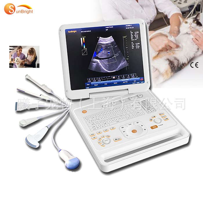 Veterinary B-Ultrasound Machine, Pet Color B-Ultrasound Instrument for Fetal Heartbeat, Animal Portable Doppler Color Ultrasound Machine Wholesale