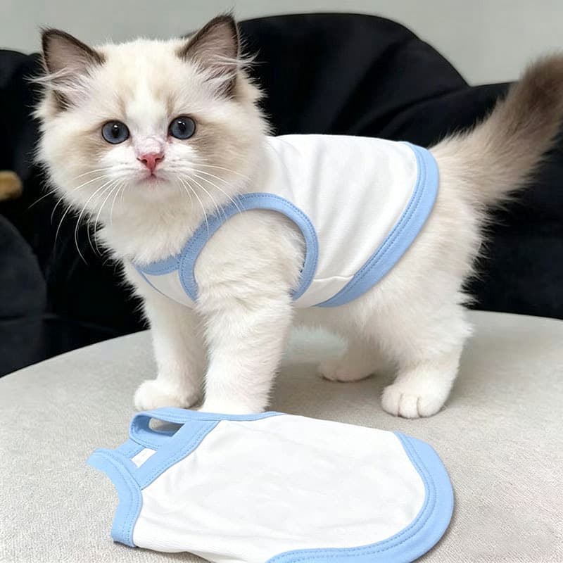 Cross-border Pet Clothes for Bichon, Cat, Schnauzer, Teddy Dog Summer Blank DIY Tank Top