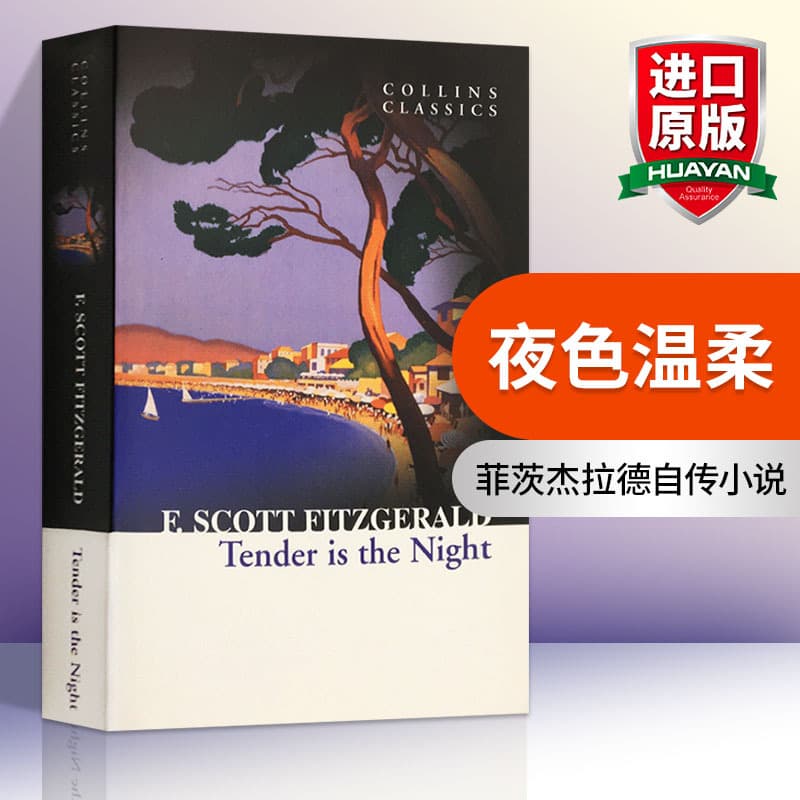 Collins Tender is the Night (English Original Novel, Collins Classics)