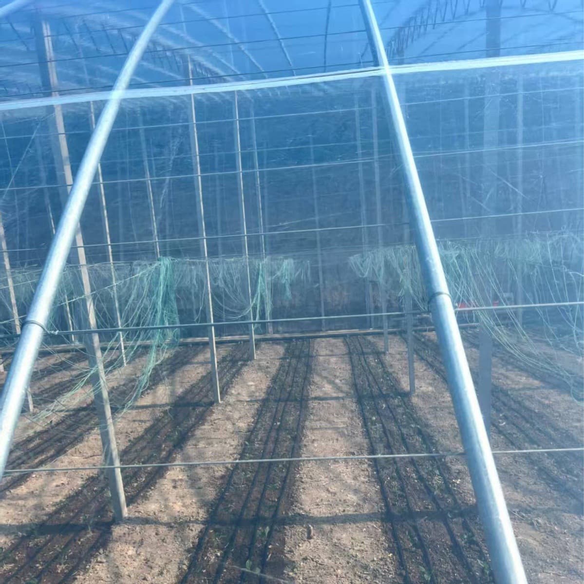 Long-Life Thickened Waterproof Rainproof Windproof Cold-Proof Agricultural Film for Window Sealing and Dust Prevention