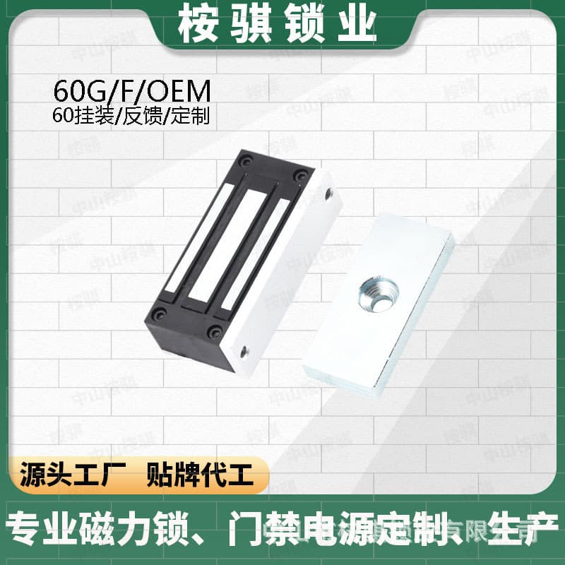 Electronic magnetic lock 280kg electromagnetic lock single door access lock waterproof iron door wooden door glass door concealed electronic control lock