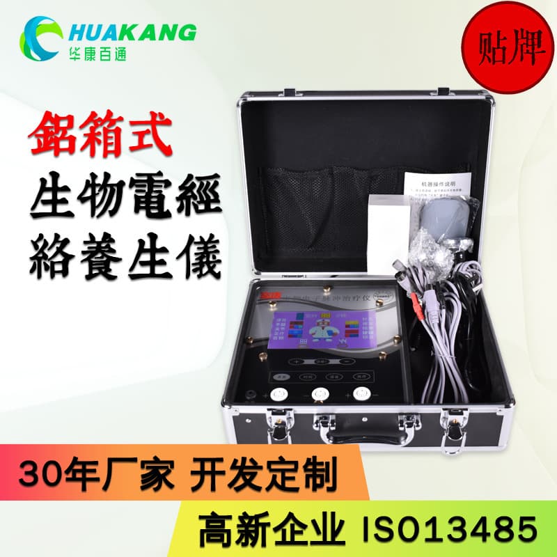 Custom OEM DDS Bioelectric Body Control Electrotherapy Device, Meridian Health Maintenance Instrument, Meridian Unblocking Massager, Electrotherapy Apparatus