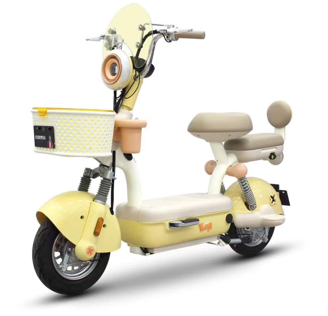 Elegant frame and matte finish for export-oriented women's commuter electric bicycles