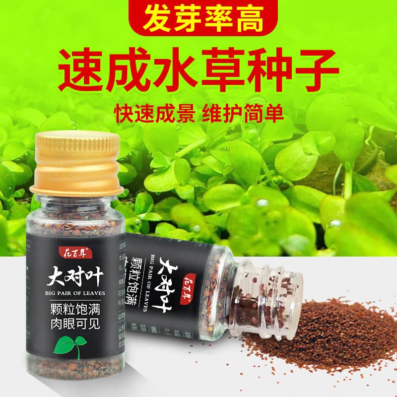Aquatic plant seeds, aquarium landscaping plant seeds, green plants, foreground water lawns, mini opposite leaves, large batches of ox hairy plants wholesale