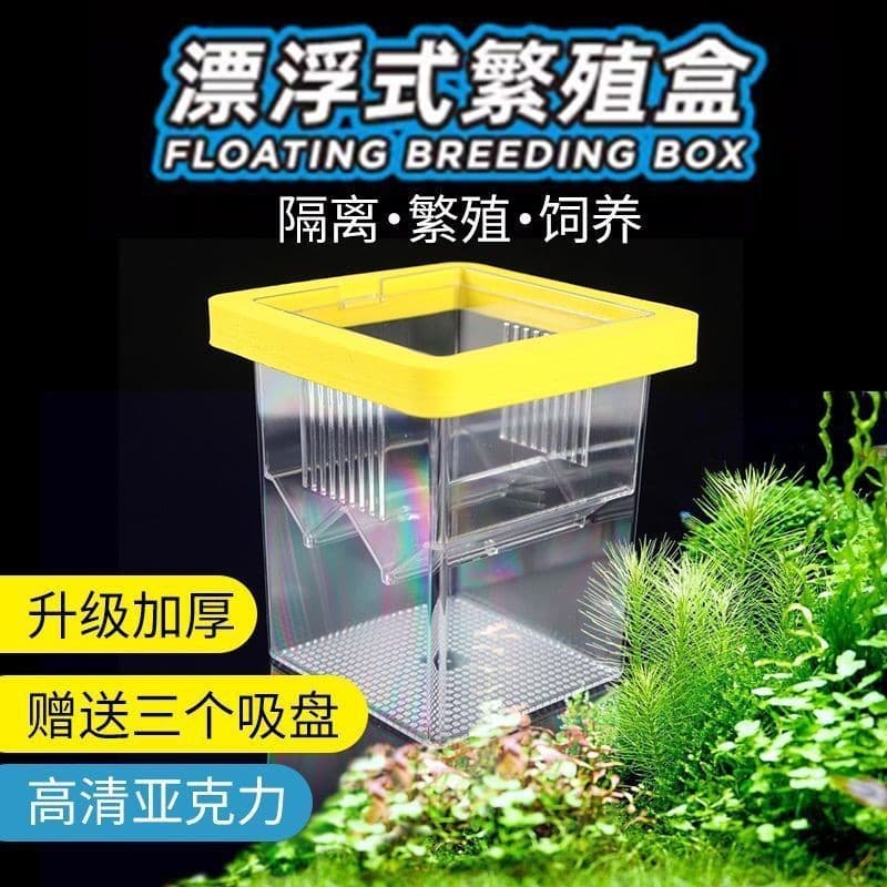 Fish tank incubator, small fish fry acrylic floating isolation box, suspended mother fish incubation box, floating incubation box