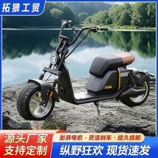 New Dual-Person Wide-Tire Electric Scooter Adult Custom Harley-Style Two-Wheel Mobility Scooter Outdoor Off-Road Electric Vehicle
