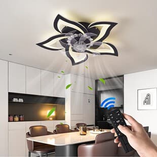Cross-border Nordic Ceiling Multifunctional Fan Light Inverter Bedroom Dining Room Living Room Fan Light Remote Control Ceiling Fan with Light