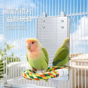 Parrot Toy Bird Mirror Stand with Perch, Budgie Cockatiel Foot Care Pedicure Perch, Birdcage Decoration for Entertainment and Self-Play