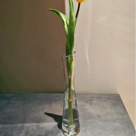 Simple and creative tabletop wedding vase with slanted or flat mouth, transparent glass vase for single flower.
