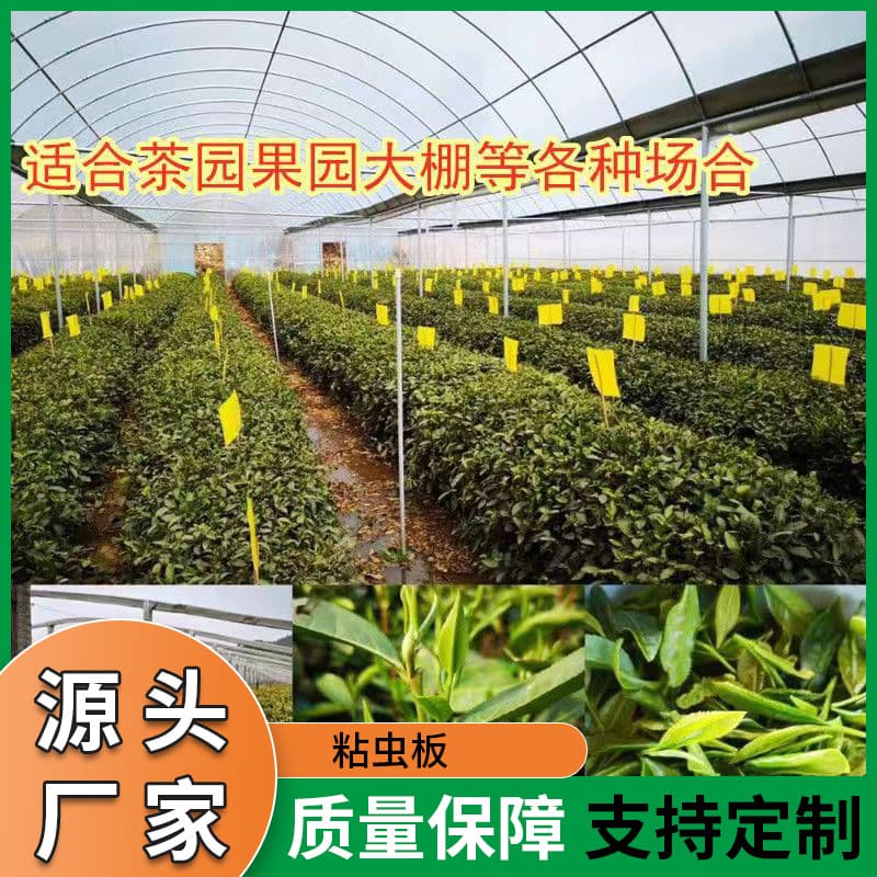 Sticky Insect Board Double-Sided Insect Trap Yellow Board Blue Board Manufacturer Wholesale Yellow Insect Board Agricultural Thrips Garden Insect Catching Stickers