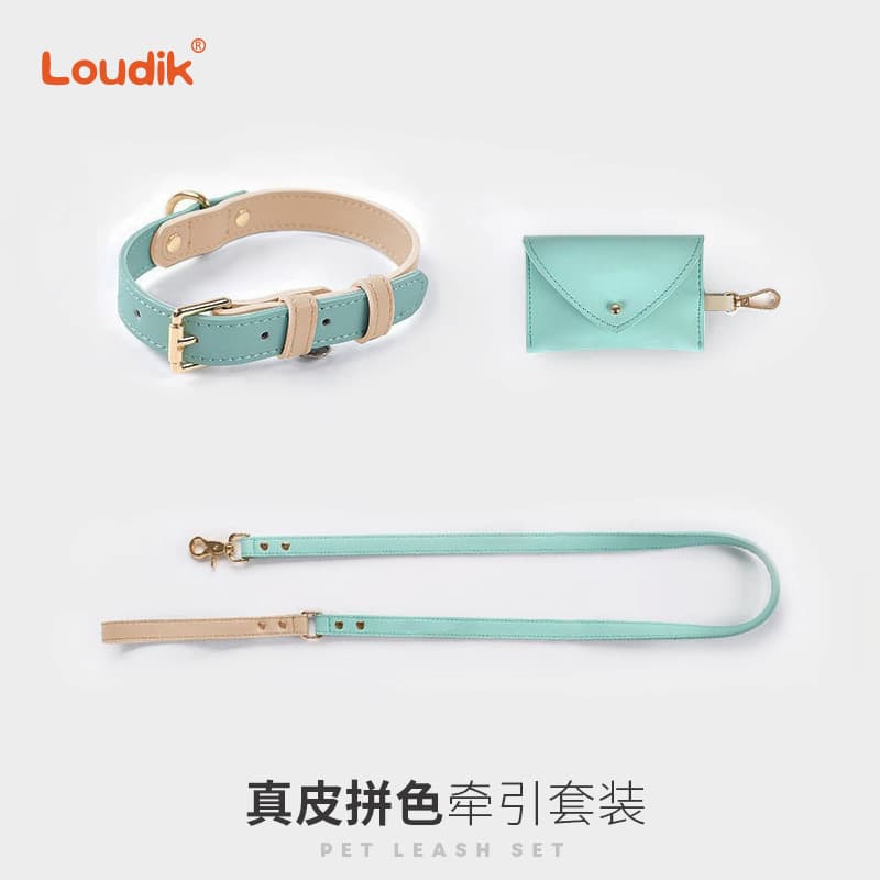 Wholesale Hot-Selling Genuine Leather Dog Collar and Leash Set for Small and Medium Dogs Cross-Border Dego