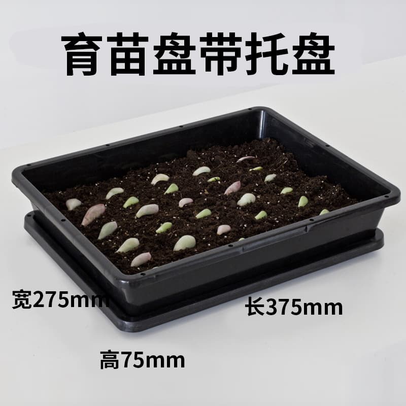 Seedling Tray, Cultivation Tray, Succulent Propagation Planting Pot, Sprouts, Bean Sprouts, Soybeans, Mung Beans, Black Beans, Hydroponic Vegetable Pots
