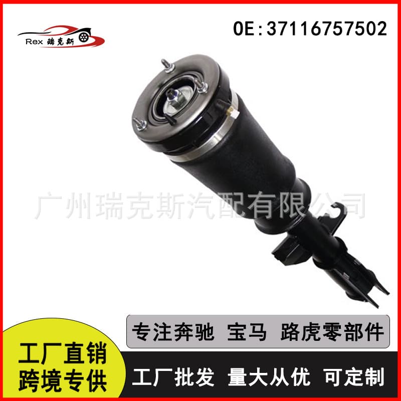 37116757501 37116757502 Air suspension shock absorber for BMW X5 E53