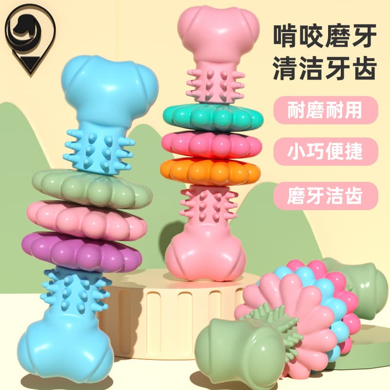 New Pet Toy Dog Toy TPR Bone-Shaped Succulent Slices Chew Resistant Teething Toy Set