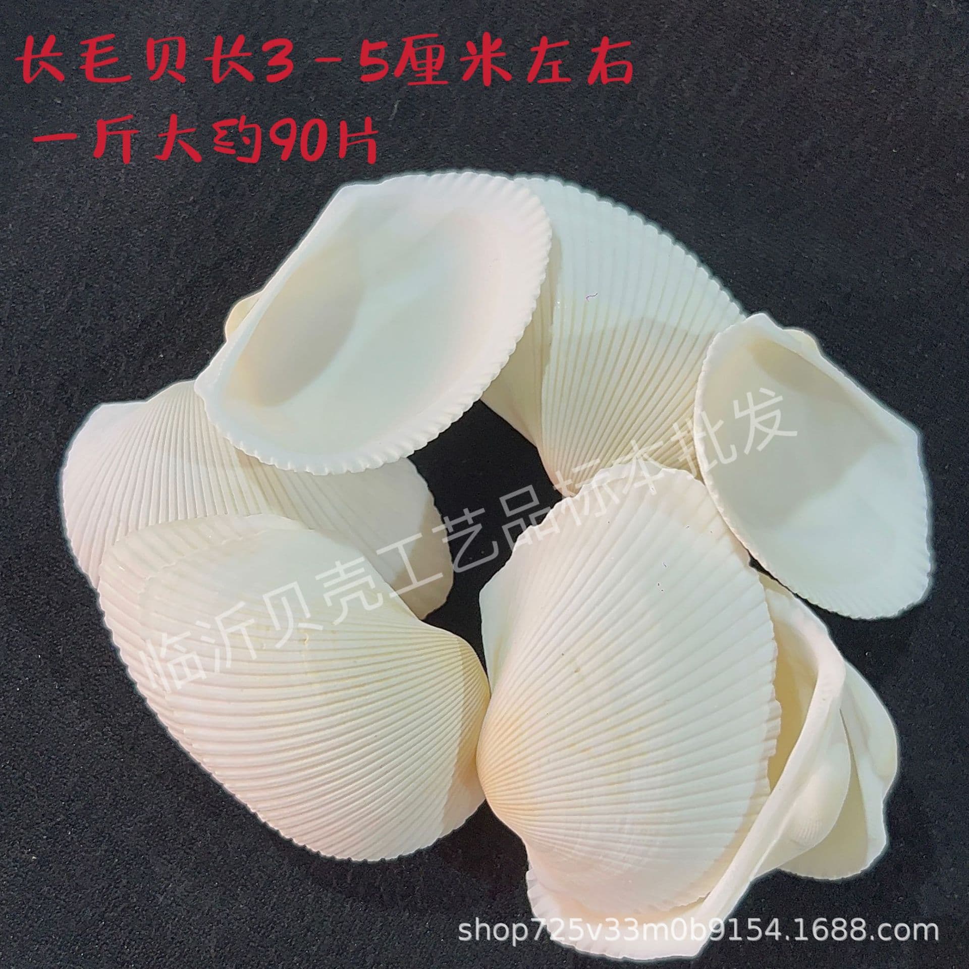 Natural Seashells and Conches Wholesale by Pound, Starfish, Drift Bottles, Seashell Crafts DIY Handmade Shell Materials