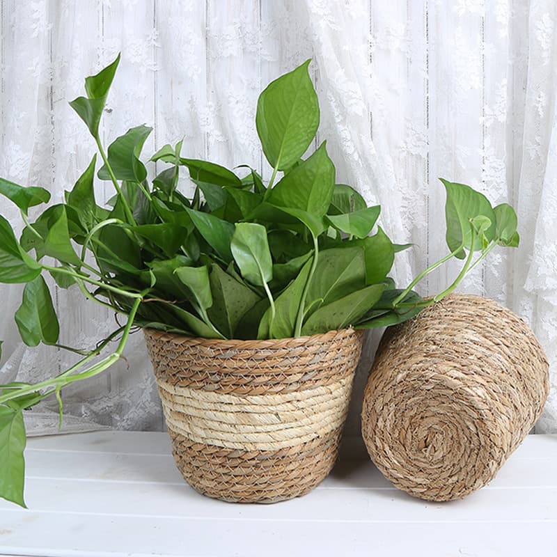 Factory Wholesale Rattan Woven Flower Basket Planter Wide Mouth Creative Home Decor Indoor Succulent Plant Pot