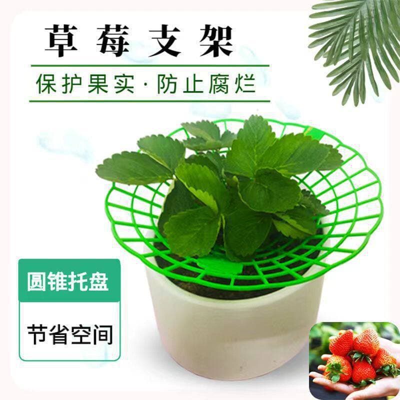 Strawberry Rack Fruit Tray Support Stand Anti-Fall Potted Plant Green Plant Splice Anti-Rot Soak Water Durable Support Frame New