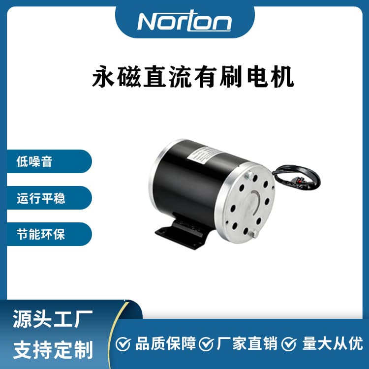 ZY1020-800W 36V Brushed DC Motor Scooter Motor