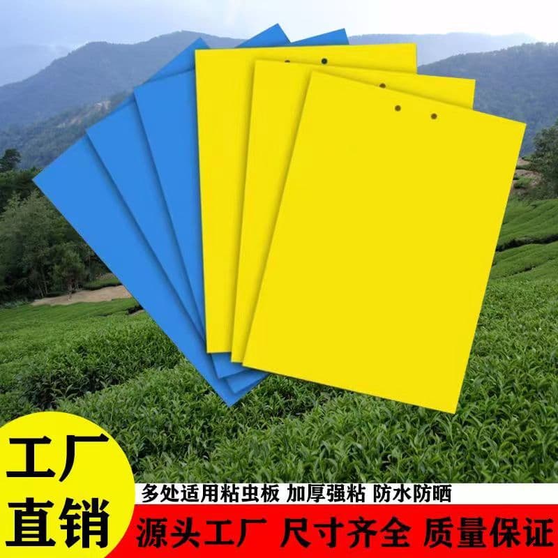 Sticky Insect Board Dual-Sided Yellow/Blue Board Manufacturer Wholesale, Adhesive Fruit Fly Balls, Fly Attracting Balls, Citrus Sticky Spheres